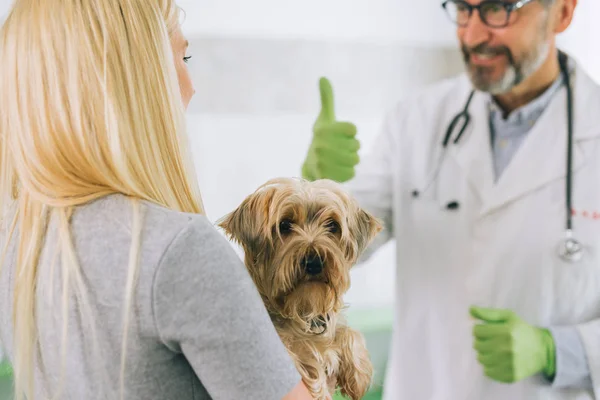 Vrouw Consulteren Met Dierenarts Huisdier Veterinaire Kliniek — Stockfoto