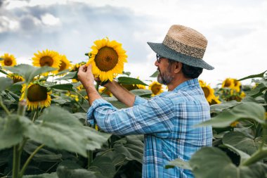Ayçiçeği desenli hasır şapka giyen olgun bir adamın portresi.