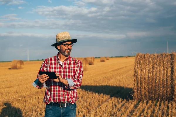 Olgun Tarım Uzmanı Ekili Buğday Arazisinde Tablet Kullanıyor — Stok fotoğraf