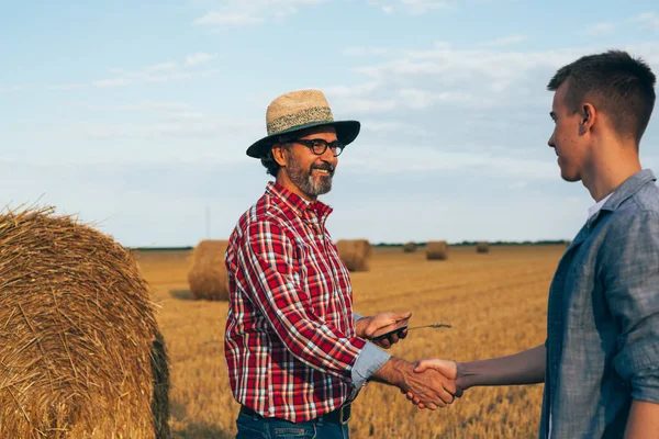 workers handshaking on wheat field