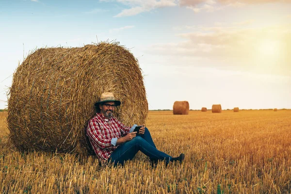 Zralý Agronomista Používající Tablety Pěstované Pšeničné Půdě — Stock fotografie