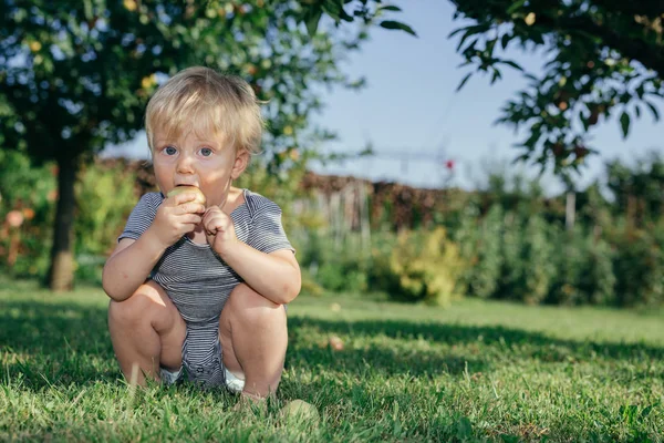 Portrait Cute Little Boy Eating Apple Green Garden — Stock Photo, Image
