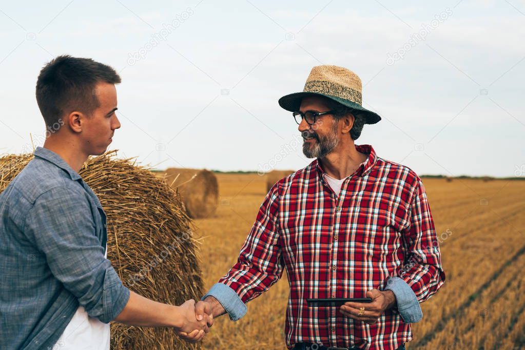 workers handshaking on wheat field