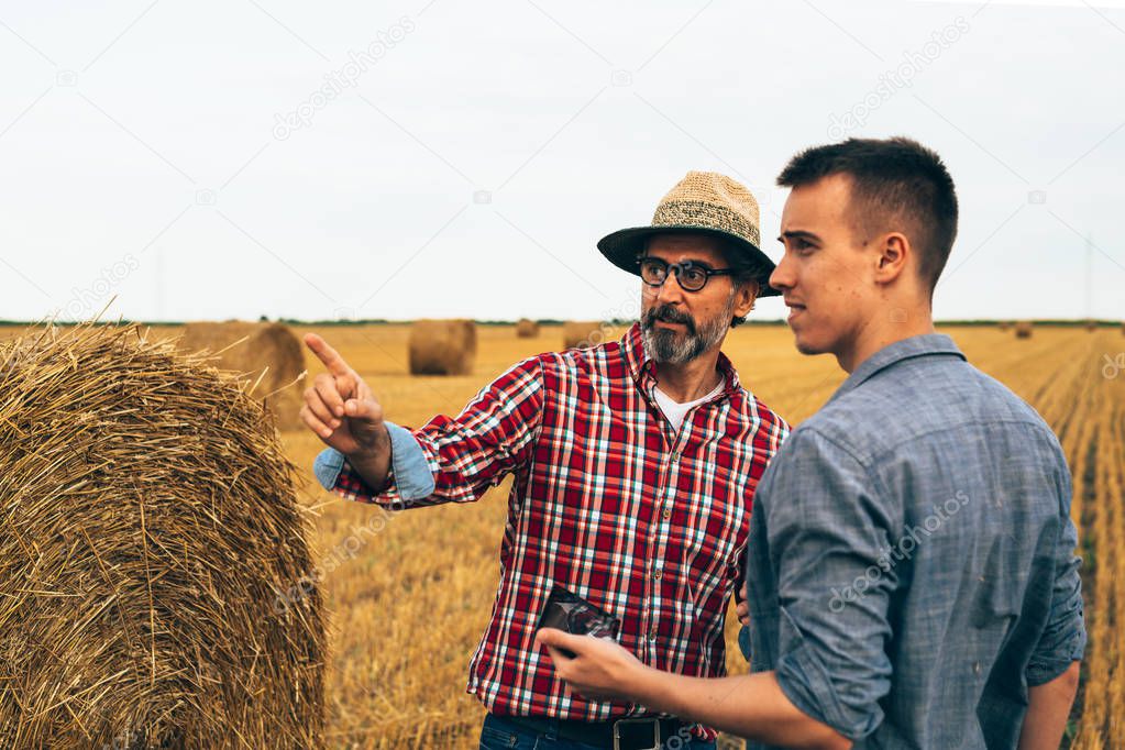 Farmers talking on wheat field
