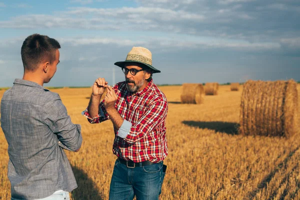 Dva Agronomové Mluví Venku Pěstovaném Pšeničném Poli — Stock fotografie