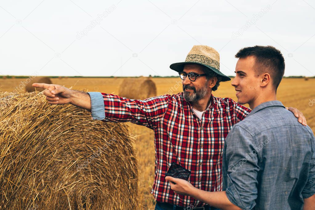 Two agronomists workers talking outdoor on cultivated wheat field