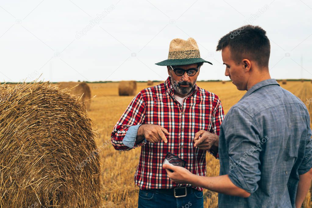 Two agronomists workers talking outdoor on cultivated wheat field