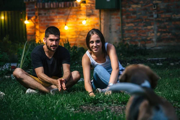 Unga par leker med hund i hemmet bakgård — Stockfoto