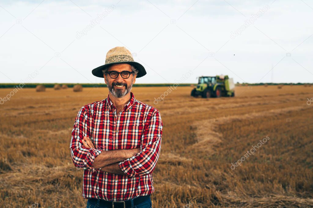 middle aged agricultural worker standing in wheat field