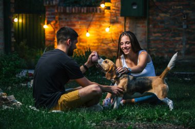 Arkadaşlar evlerinin arka bahçesinde köpekleriyle oynuyorlar. gece sahnesi