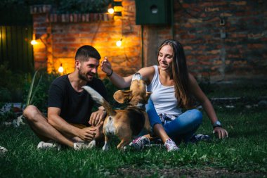 Arkadaşlar evlerinin arka bahçesinde köpekleriyle oynuyorlar. gece sahnesi