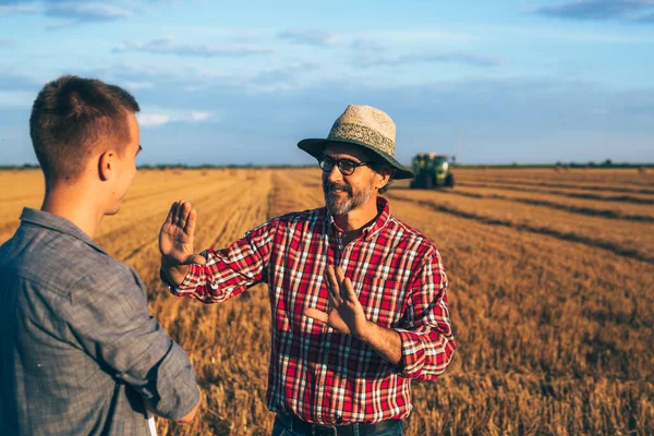 İki çiftlik sahibi buğday tarlasında konuşuyor.