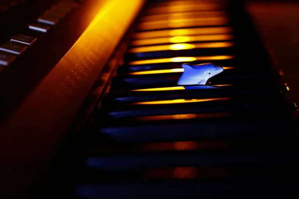 Denizin müzik piyano tuşları üzerinde küçük bir seramik yunus