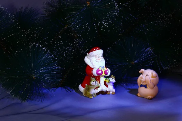 Noel kartı Noel ve yeni yıl domuz sembolü.