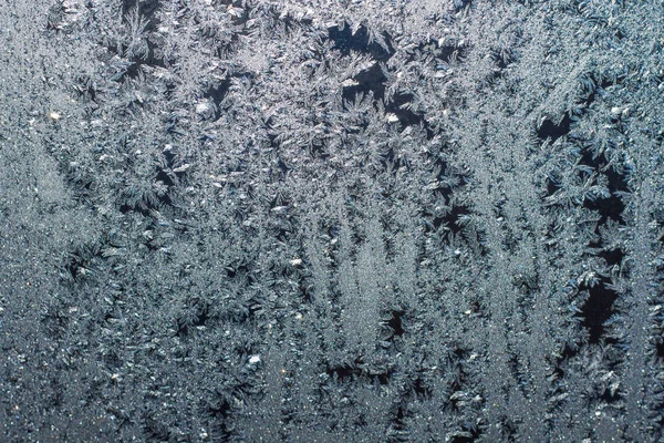 寒冷的冬天在窗户上画了非常美丽的图案 水冻得像一片等待夏天的奇妙森林 — 图库照片