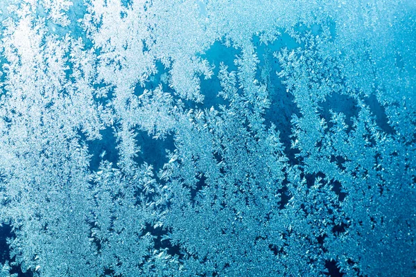 Soğuk kış üstünde belgili tanımlık pencere çok güzel desenler çizer ve yaz için bekleyen muhteşem bir orman gibi su dondu.