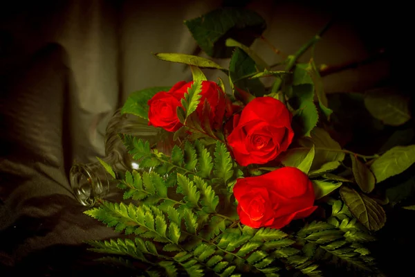 Fern yaprak üzerinde üç kırmızı gül güzel ışık ve gölge vardır.