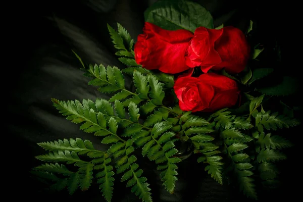 Fern yaprak üzerinde üç kırmızı gül güzel ışık ve gölge vardır.