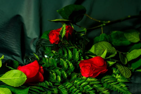 Fern yaprak üzerinde üç kırmızı gül güzel ışık ve gölge vardır.