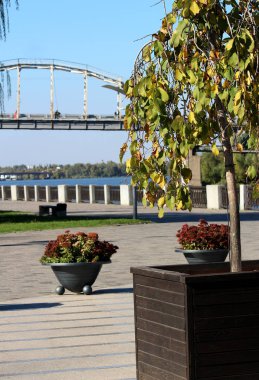ağaç ve flowerbed Dinyeper Nehri ve nehir köprüden arka planı