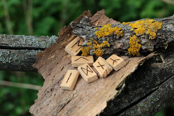 Wooden runic alphabet, which lie on a dry bark from a tree. Near yellow moss. Runic circle, Futhark in natural elements — ストック写真