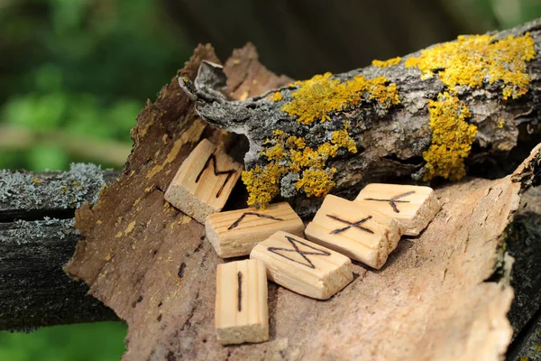 Gros plan sur l'alphabet runique en bois qui se trouve sur une écorce sèche d'un arbre. Près de la mousse jaune. Futhark runique dans l'élément — Photo