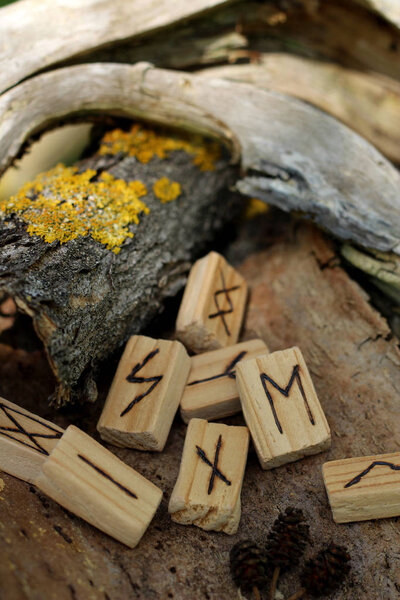 Крупный план на деревянной руне Наутиса, которая лежит на сухой коре дерева. Рядом с другим рунамом, на коре желтый мох. Рунический футарк в элементе
