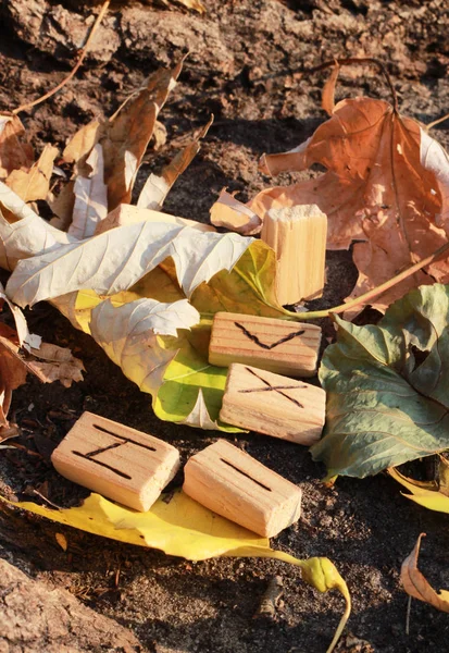 Дерев'яні руни лежать на землі з осіннім листям. Біля кореня хворого дерева — стокове фото