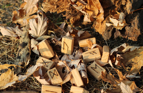 Fonta lview on the Wooden Runic fabet with the central run Uruz which lives on the yellow fliage
.