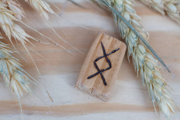 Деревянная руна Ингуса возле пшеницы. Руна плодородия, прогресс, отличные результаты, конец старого, начало нового
.