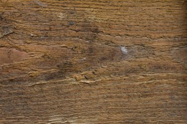 Eski ağaç, antika. Doku ve bej ahşap arkaplan
