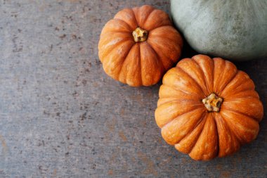 Renkli kabaklar ile Sonbahar arka plan. Metin için alan kopyalayın. H