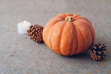 Portakal kabak, çam kozalağı ve ca ile Sonbahar tatili natürmort