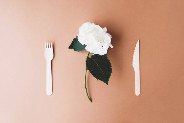 Kahverengi arka planda biyolojik çözünebilen çevre dostu ahşap çatal bıçak takımı. Uzayı kopyala Sıfır atık, plastiksiz ve sürdürülebilir yaşam tarzı konsepti. Üst görünüm, düz görünüm.