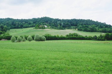 Kuzey İtalya, Piedmont 'taki yeşil tepeler yuvarlanıyor. Yaz manzarası.
