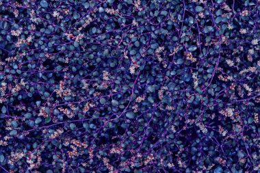 Arkaplan için soyut botanik doku. Bahçe bitkileri Yaz arkaplanı.