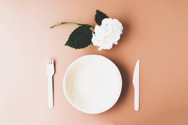 Biyolojik çözünebilir çevre dostu ahşap çatal bıçak seti ve kahverengi arka planda plaka. Uzayı kopyala Sıfır atık, plastiksiz ve sürdürülebilir yaşam tarzı konsepti. Üst görünüm, düz görünüm.