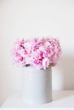 Beyaz duvar zeminine karşı vazoda çiçek açmış güzel pembe şakayık çiçekleri. Uzayı kopyala Anneler günü, doğum günü kartı. Yaz çiçekleriyle dolu sakin bir hayat.