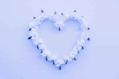 Kalp, pastel mavi arka planda taze nergis çiçeklerinden yapılmıştır. Uzayı kopyala Düz yatış stili. Aşk konsepti. Bahar çiçekleri. Mutlu Paskalyalar, Anneler Günü, Sevgililer Günü, Düğün.