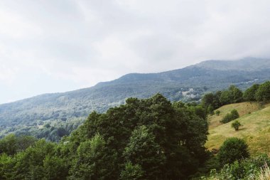 Yeşil tepeli güzel bir dağ manzarası ve bulutlu bir günde kuru sarı çimenler. Sonbahar manzara arkaplanı.