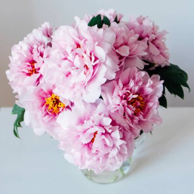 Vazoda çiçek açmış güzel pembe şakayık çiçekleri. Yaklaş. Uzayı kopyala Anneler günü, doğum günü kartı. Yaz çiçekleriyle dolu sakin bir hayat.