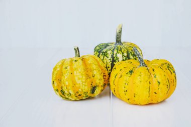 Beyaz arka planda renkli mini balkabakları. Arka planda kal. Cadılar Bayramı ya da Şükran Günü.