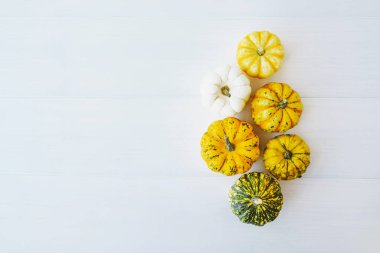 Beyaz arka planda renkli balkabakları, üst manzara, düz yatış. Arka planda kal. Uzayı kopyala Cadılar Bayramı ya da Şükran Günü.