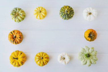 Beyaz arka planda renkli balkabakları, üst manzara, düz yatış. Arka planda kal. Uzayı kopyala Cadılar Bayramı ya da Şükran Günü.