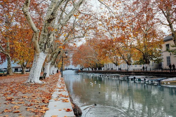 Annecy, Fransa - Kasım 2018: Annecy kanalının sonbaharda görüntüsü..
