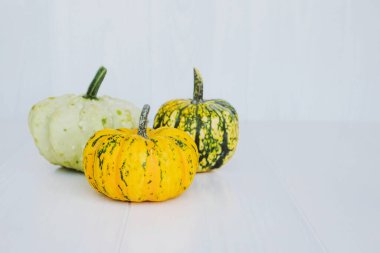 Beyaz arka planda renkli mini balkabakları. Arka planda kal. Cadılar Bayramı ya da Şükran Günü.