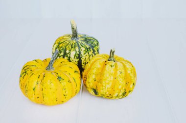 Beyaz arka planda renkli mini balkabakları. Arka planda kal. Cadılar Bayramı ya da Şükran Günü.