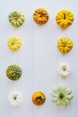 Beyaz arka planda renkli balkabakları, üst manzara, düz yatış. Arka planda kal. Uzayı kopyala Cadılar Bayramı ya da Şükran Günü.