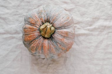 Beyaz masa örtüsünde güzel bir balkabağı, üst manzara. Kopyala. Sonbahar hasadı, organik sebzeler.