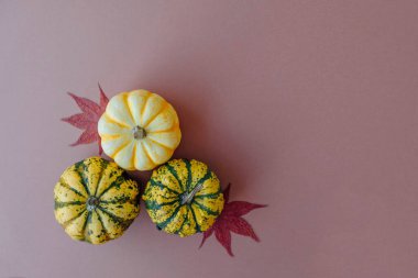 Açık kahverengi arka planda renkli balkabakları, üst manzara, düz yatış. Arka planda kal. Uzayı kopyala Cadılar Bayramı ya da Şükran Günü.